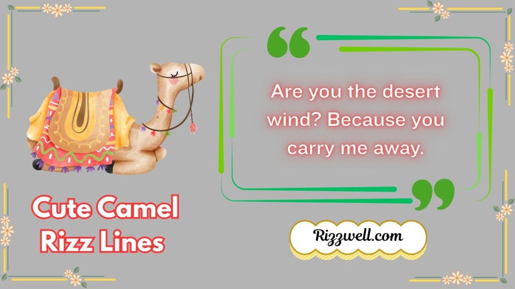 Cute Camel Rizz Lines 
