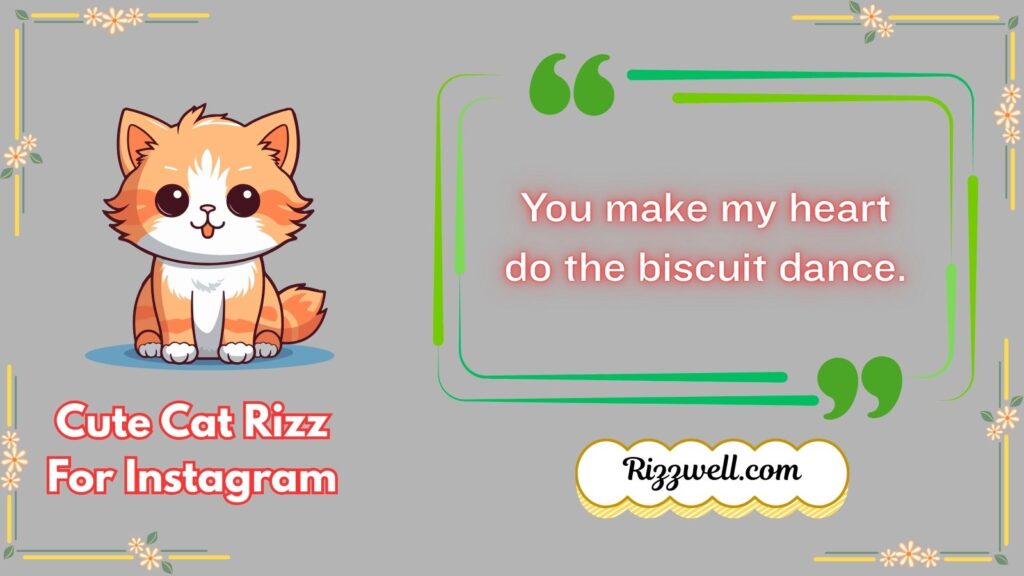 Cute Cat Rizz for Instagram