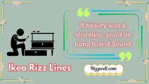 Ikea Rizz Lines