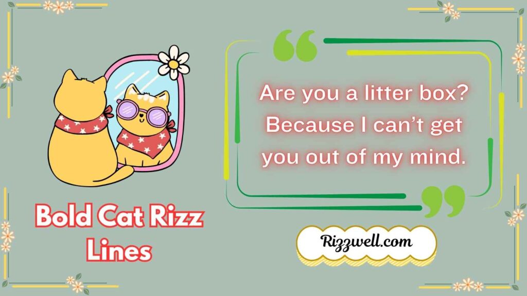 Bold Cat Rizz Lines