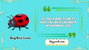 bug rizz lines