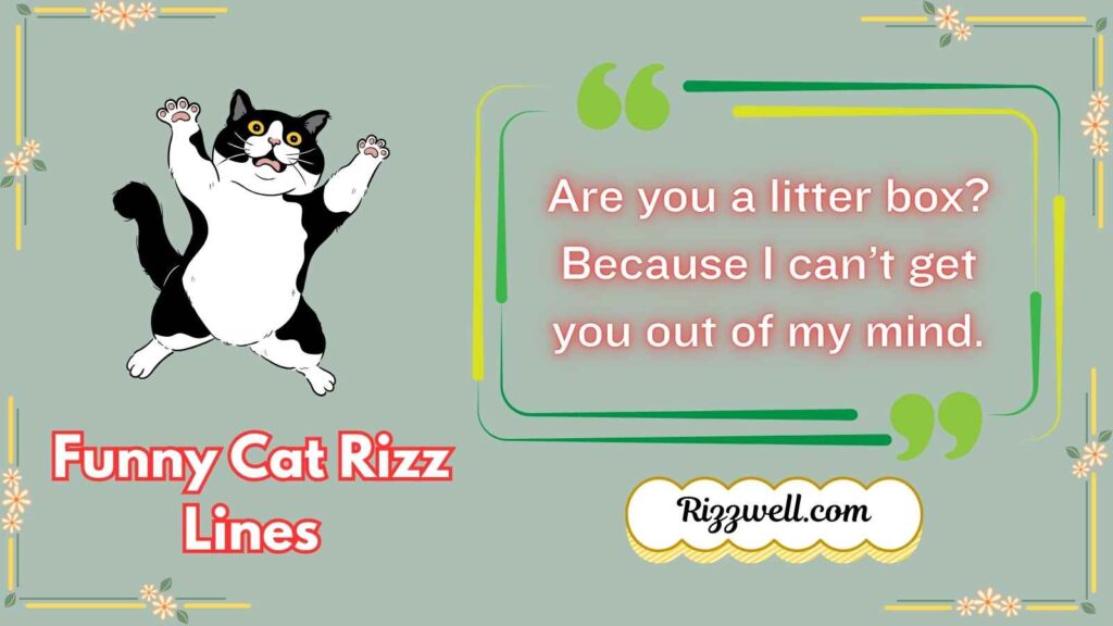Funny Cat Rizz Lines