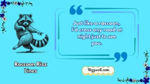 raccoon rizz lines