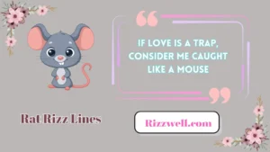 rat rizz lines