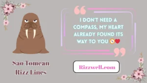 sao tomean rizz lines