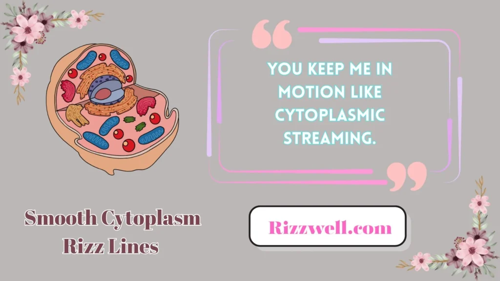 Smooth Cytoplasm Rizz Lines 