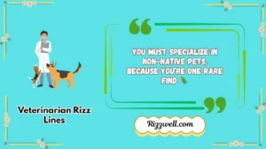 veterinarian rizz lines