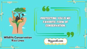 wildlife conservation rizz lines